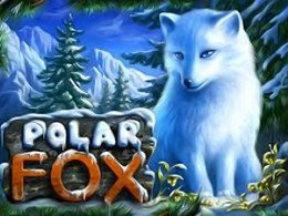 Сити игровой автомат polar fox tv проходы адреса